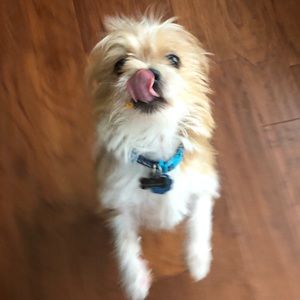 Meet your Posher, Julia